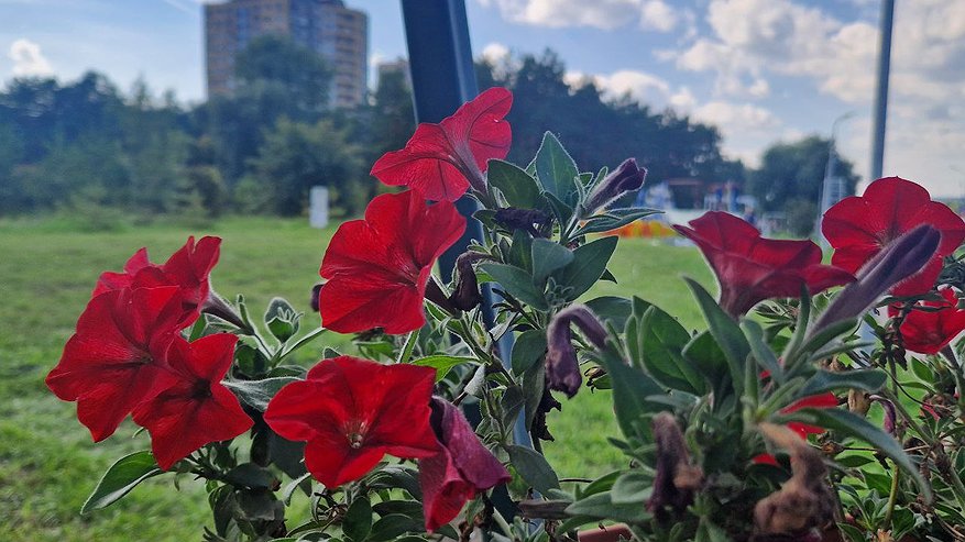 Главная картинка новости: Выходные в Челнах: куда пойти 30, 31 августа и 1 сентября