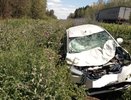 На дорогах Татарстана произошло три ДТП с дикими животными – пострадали люди