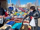 В Челны на сельскохозяйственную ярмарку съехались продавцы из 11 районов Татарстана