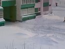 «Проезд засыпан, стоянка также. Может, администрация выделит трактор на уборку?»