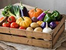 Роспотребнадзор выявил тонны опасной продукции в торговых точках Татарстана