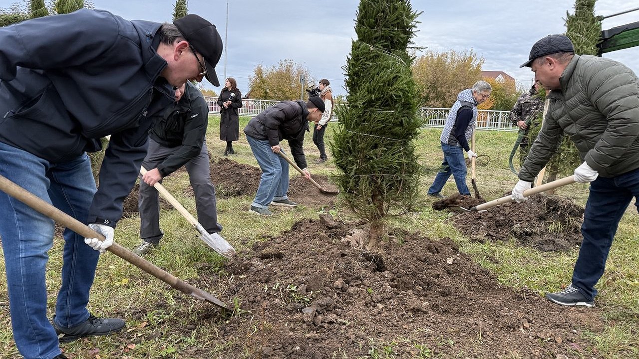 Главная картинка новости: Масштабное озеленение ждёт проспект Яшьлек в Набережных Челнах