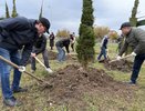 Масштабное озеленение ждёт проспект Яшьлек в Набережных Челнах