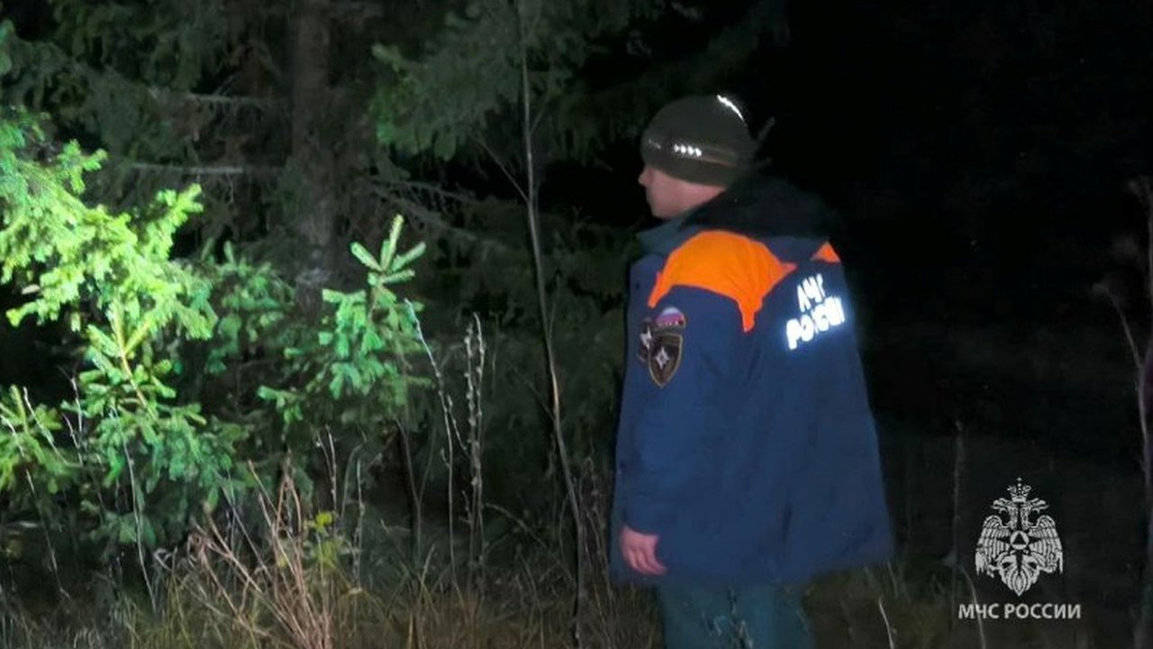 Главная картинка новости: ‎Из леса в Набережных Челнах вывели парня и девушку, которые заблудились