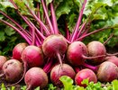 Свекла до лета свежая и сочная, как с грядки: простой способ хранения без погреба и опилок