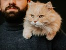 Ученые выяснили, каких людей на самом деле любят кошки: вовсе не тех, кто их кормит
