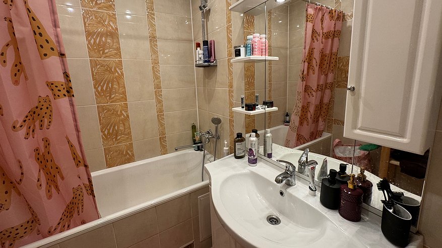 Главная картинка новости: В США и Канаде почти не пользуются ванной и душем: у них есть третий вариант, и он в разы круче