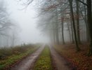 Морось и туман: прогноз погоды в Набережных Челнах на 17 октября