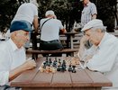С кем нужно жить пожилым людям, а с кем - категорически нельзя, особенно после 70 лет