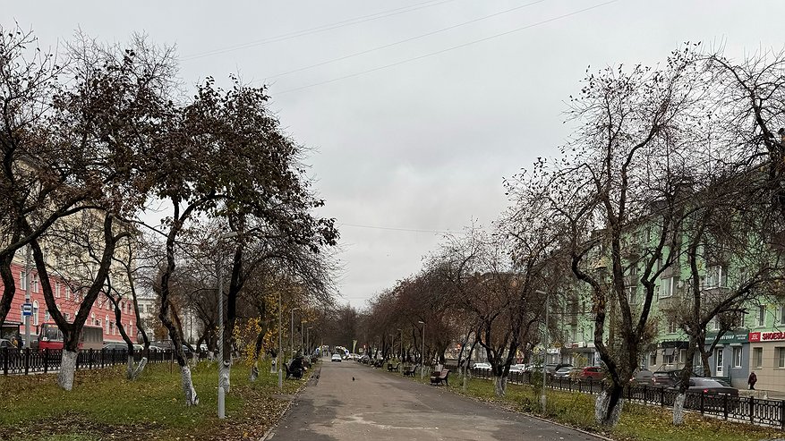 Главная картинка новости: В Набережных Челнах ожидается туманная погода и дождь 19 октября