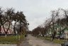 Миниатюра новости: В Набережных Челнах ожидается туманная погода и дождь 19 октября