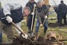 Миниатюра новости: В Набережных Челнах заложили сквер имени Сергея Чебнева