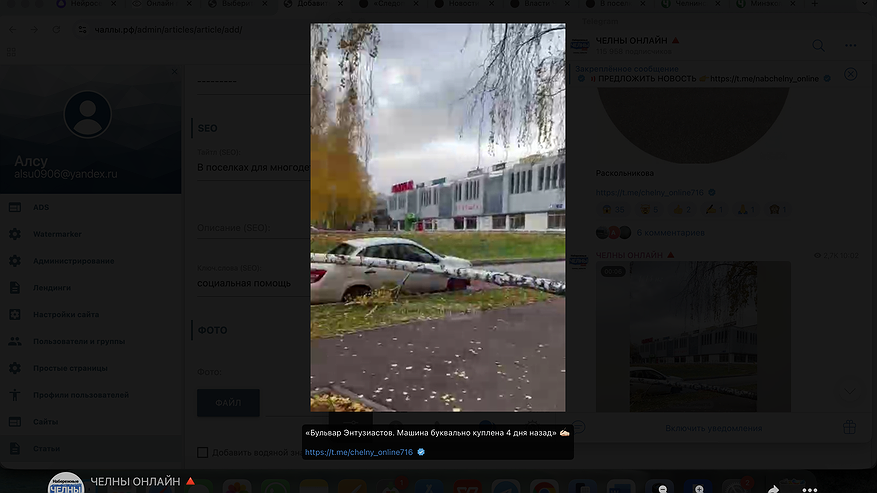 Главная картинка новости: В Челнах дерево рухнуло на автомобиль, купленный четыре дня назад