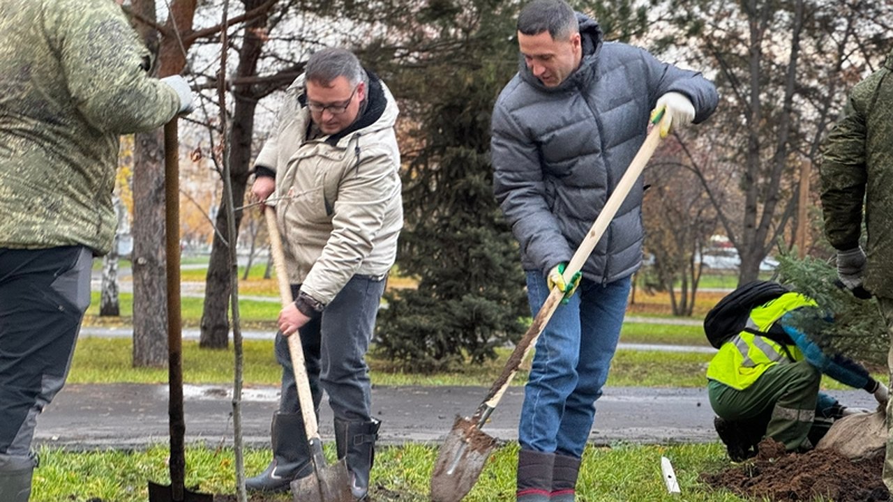 Главная картинка новости: У сквера в Набережных Челнах высадили 100 деревьев