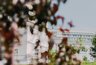 Миниатюра новости: КАМАЗ открывает двери в престижные вузы для жителей Набережных Челнов