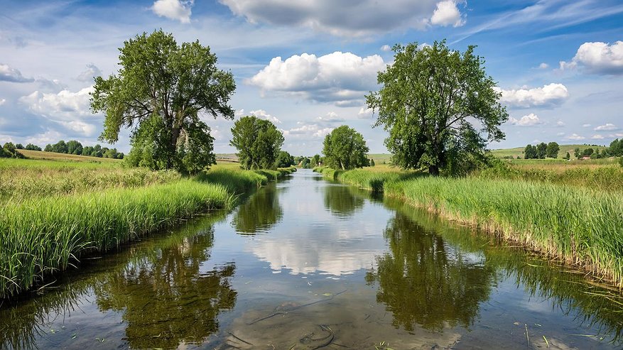 Главная картинка новости: Река Челнинка ждёт очистки: проект получил экспертное одобрение