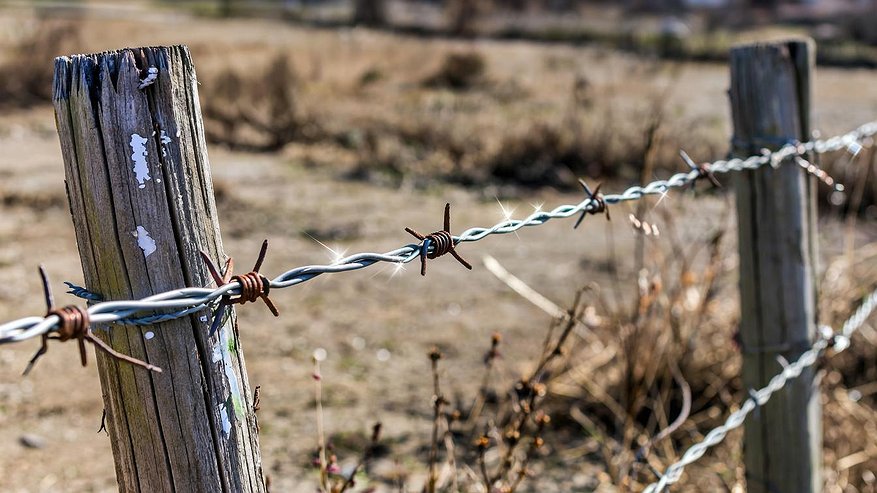 Главная картинка новости: Челнинский «Арарат» под колючей проволокой: владелец ищет способ остановить непрошенных гостей