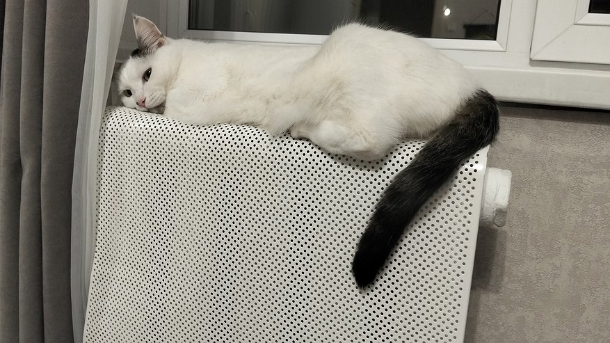 Главная картинка новости: Челнинцы жалуются на невыносимую жару в квартирах