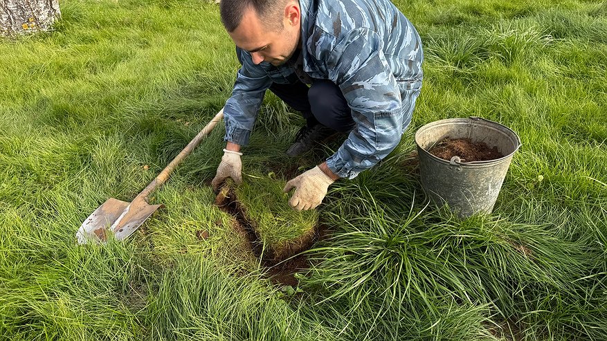 Главная картинка новости: Вношу эти удобрения осенью — и к весне почва становится жирной и плодородной. Совет агронома с 30-летним стажем