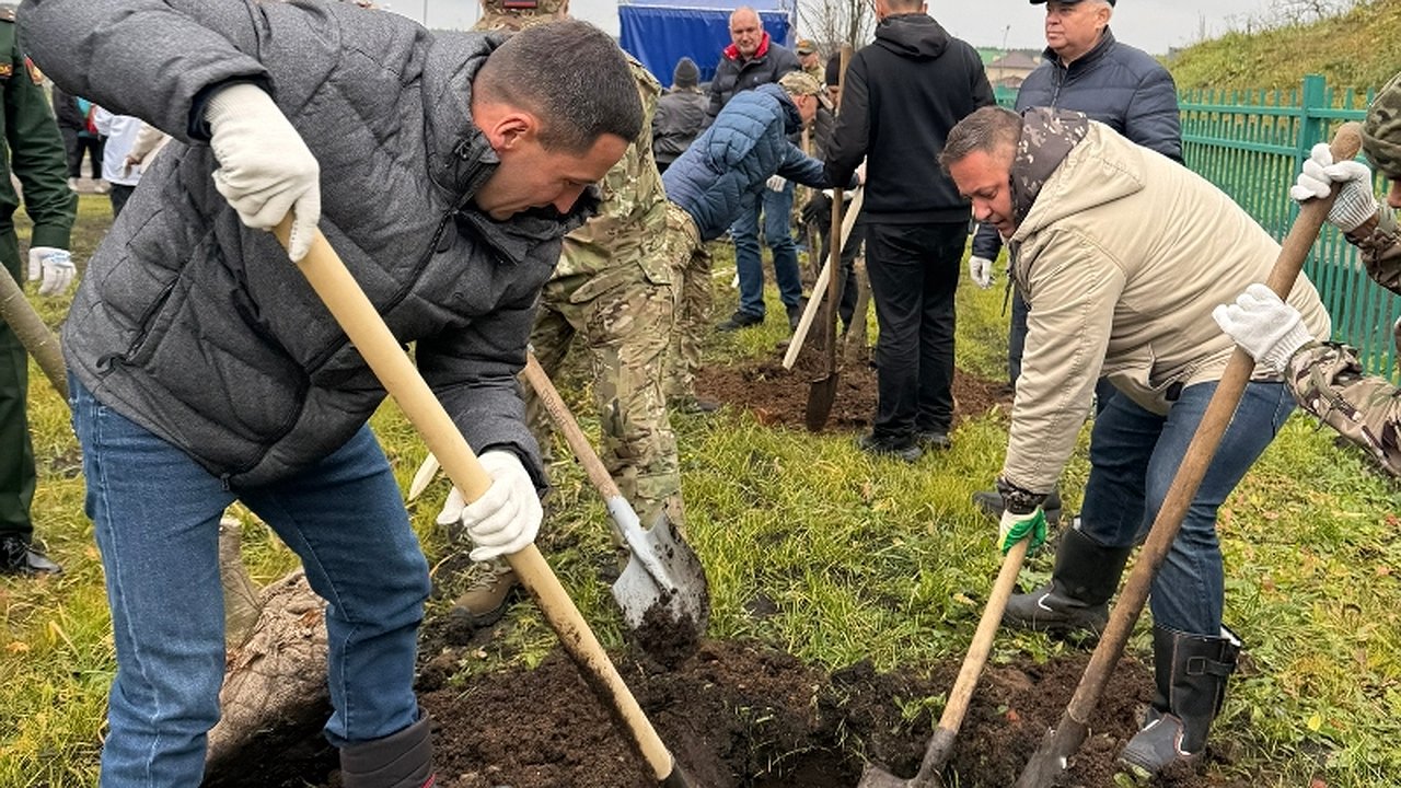 Главная картинка новости: У молодежного центра в Челнах высадили 110 деревьев