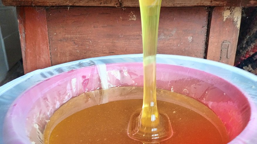 Главная картинка новости: В аэропорту Казани пресечён ввоз немаркированного мёда из Туркменистана