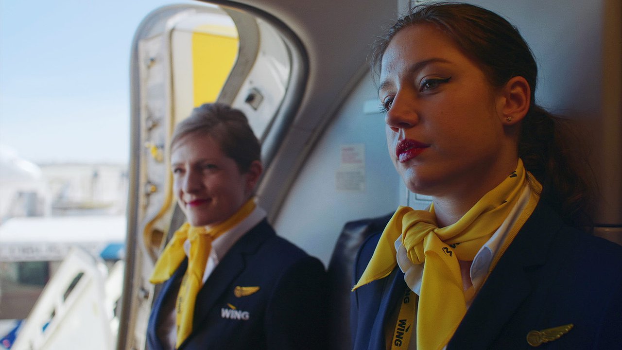 Главная картинка новости: Красота вообще не при чем: зачем на самом деле стюардессы носят на шее платок