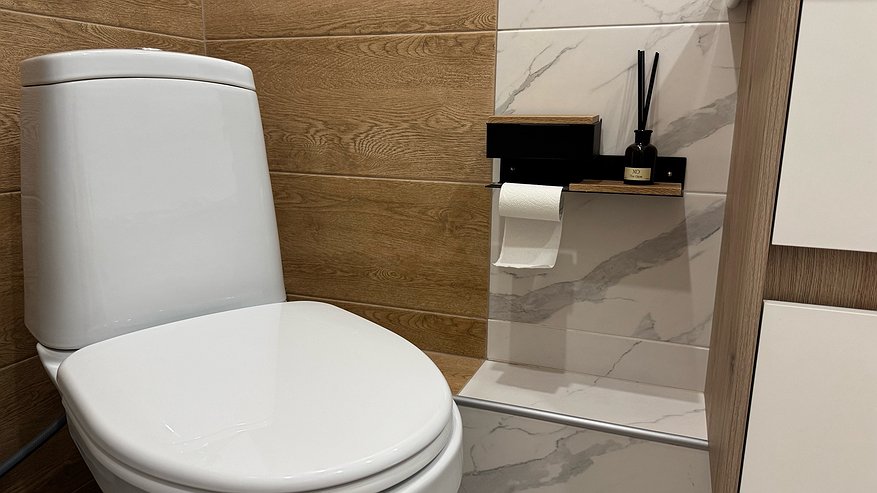 Главная картинка новости: После одного случая всегда опускаю крышку унитаза и вам советую: почему нельзя оставлять открытым