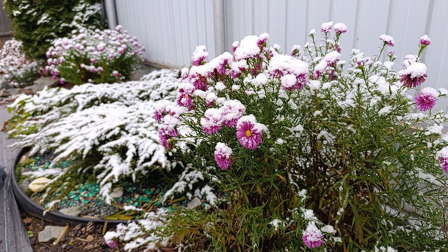 Главная картинка новости: Жителей Татарстана предупредили о ветре и гололедице в ночь с 4 на 5 ноября
