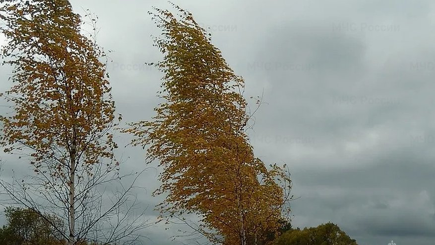 Главная картинка новости: Экстренное предупреждение из-за сильных порывов ветра объявили в Татарстане
