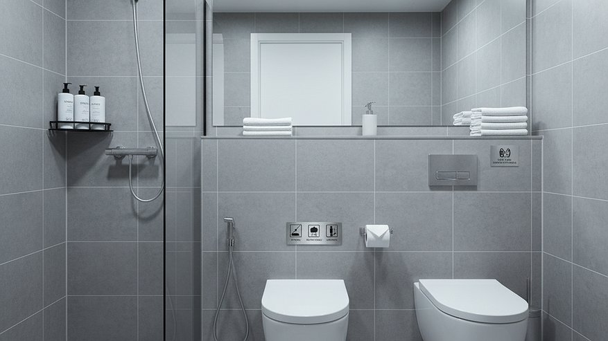 Главная картинка новости: Немцы в ванной и туалете соблюдают эти привычки, от которых у русских волосы дыбом