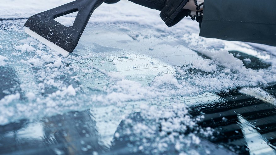 Главная картинка новости: Протираю лобовое стекло этим овощем и забываю о наледи - всю зиму езжу без забот