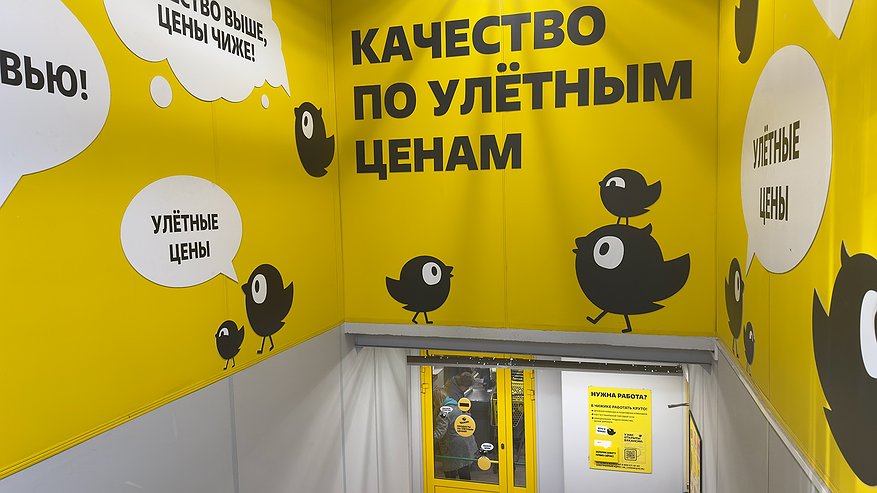 Главная картинка новости: Покупаю в «дешёвом» Чижике только эти пять продуктов - делюсь своим «золотым» списком