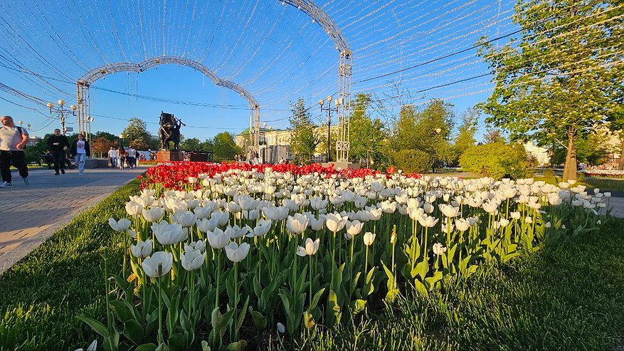 Главная картинка новости: В 2026 году в Челнах высадят 15 тысяч новых деревьев и 228 тысяч тюльпанов