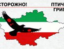 В Татарстане ввели 100-километровую зону наблюдения из-за вспышки птичьего гриппа в Лениногорском районе