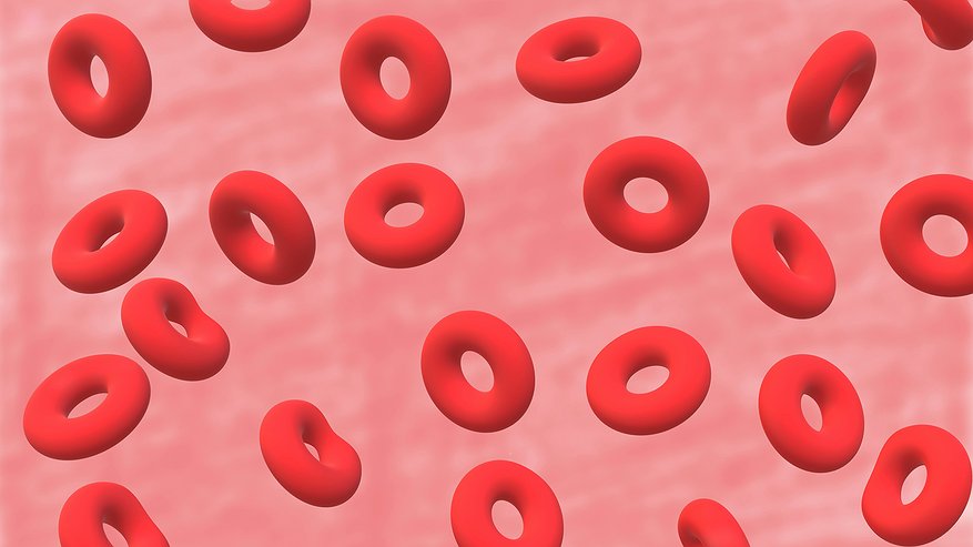 Главная картинка новости: Научный взгляд: почему группа крови не определяет интеллект человека