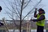 Миниатюра новости: В Челнах на улице Нариманова высадили 170 новых деревьев