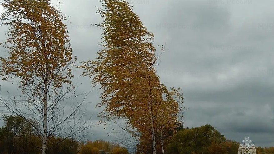 Главная картинка новости: На 15 ноября в Татарстане объявили экстренное предупреждение
