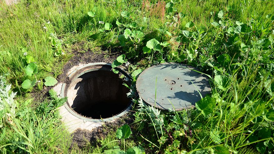 Главная картинка новости: Сода не поможет: инженер назвал 2 средства для очистки выгребной ямы без откачки – все само рассосется