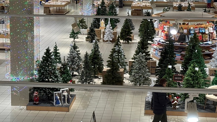 Главная картинка новости: Новый год 2026 по фэн-шуй: где правильно ставить ёлку и что нельзя делать в ночь Огненной Лошади