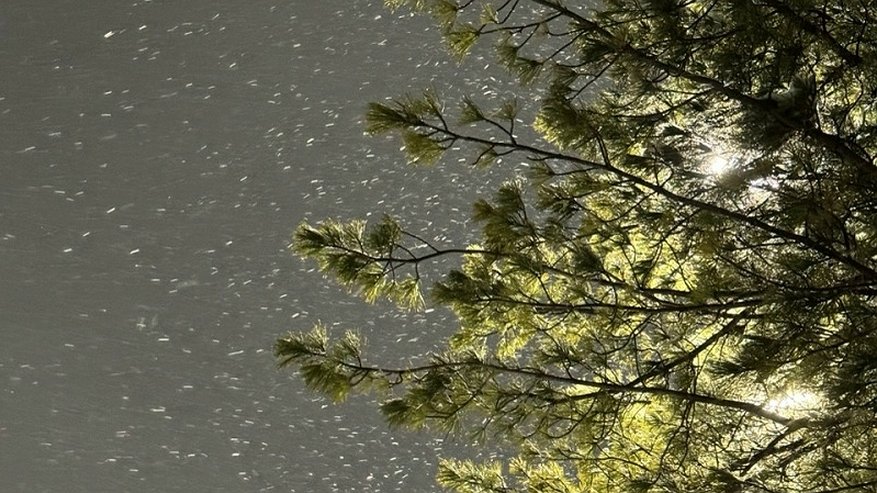 Главная картинка новости: Снежная каша и сильный гололед: 16 ноября погода в Татарстане резко ухудшится