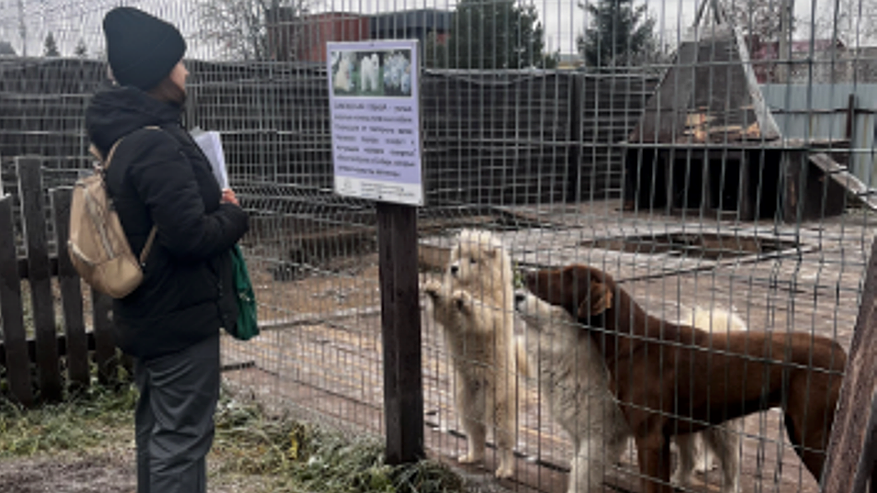 Главная картинка новости: Животных в частном зоопарке Елабужского района содержат с нарушениями