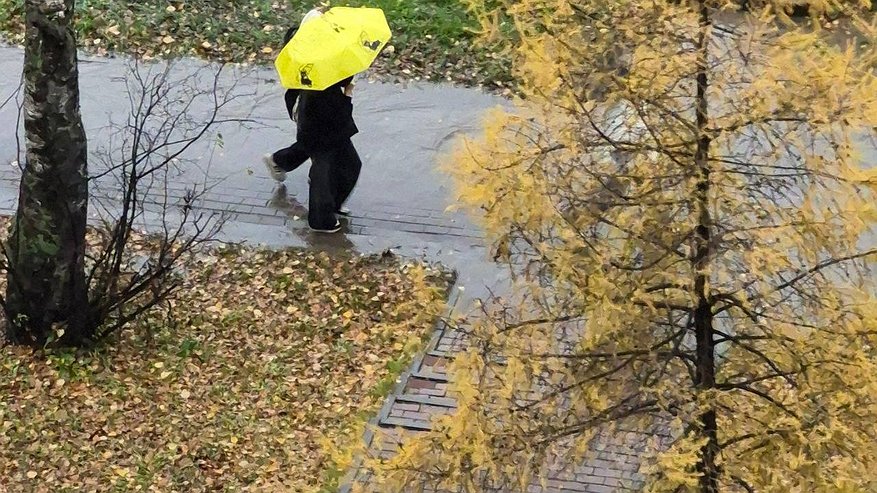 Главная картинка новости: Ветер и мокрый снег ожидаются в Набережных Челнах во вторник