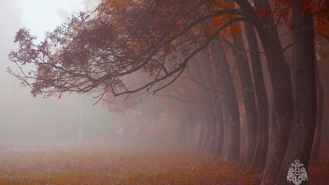 Главная картинка новости: Водителей Татарстана предупредили о тумане на дорогах