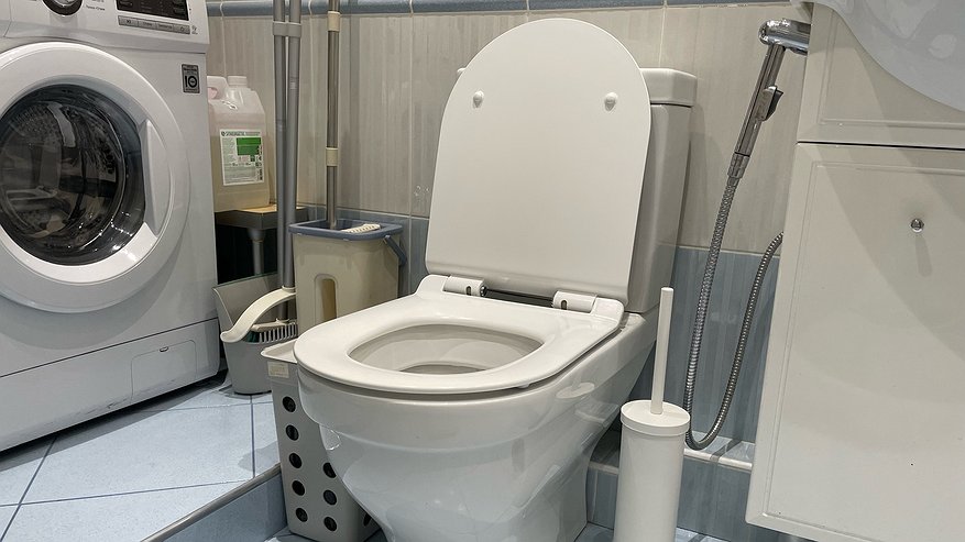 Главная картинка новости: Насыпаю этот порошок в унитаз на ночь и иду спать: к утру налет исчезает без лишних усилий