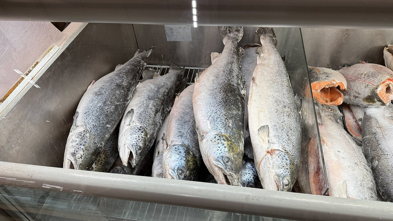 Главная картинка новости: Названа самая полезная и питательная рыба: ешьте 3 раза в неделю — богата селеном, фосфором и хороша на вкус