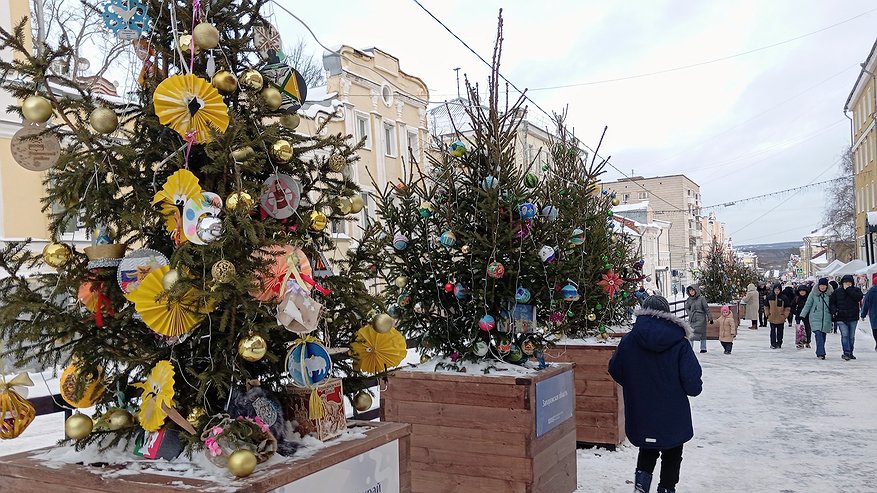 Главная картинка новости: Выбираю елку к Новому году по этим признакам: не осыпается и стоит до весны