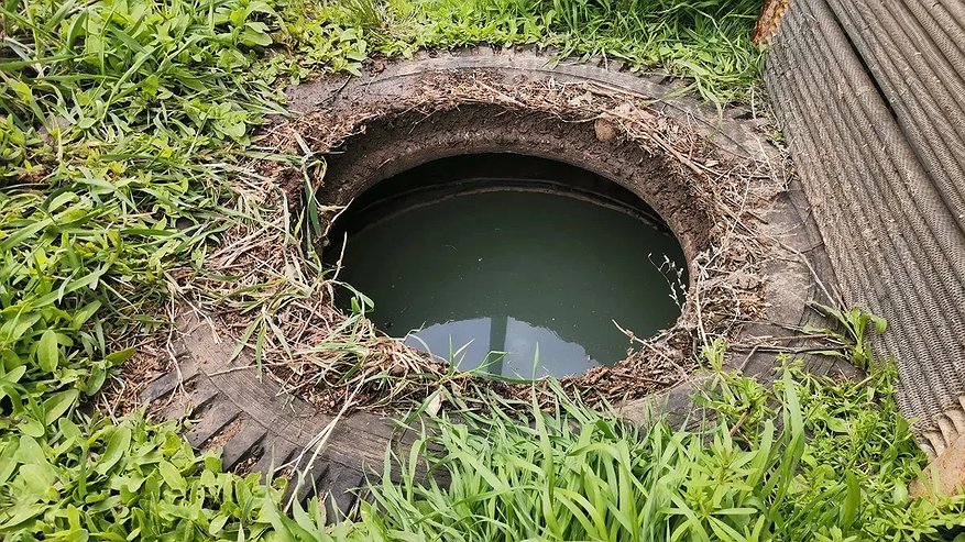 Главная картинка новости: Осенью септик не откачивайте: лейте этот раствор в выгребную яму — проблема рассосется сама