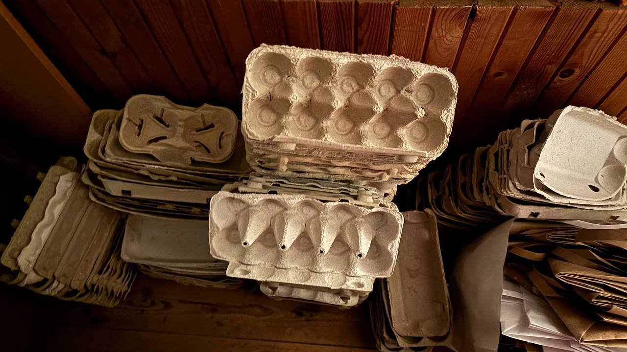 Главная картинка новости: Лотки от яиц не выбрасываю - берегу как зеницу ока: незаменимые помощники в огороде в новом сезоне