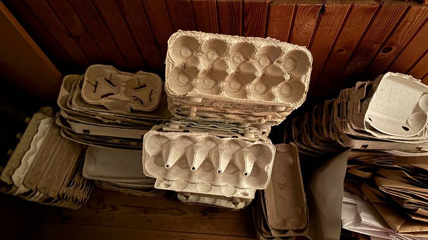 Главная картинка новости: Лотки от яиц не выбрасываю - берегу как зеницу ока: незаменимые помощники в огороде в новом сезоне