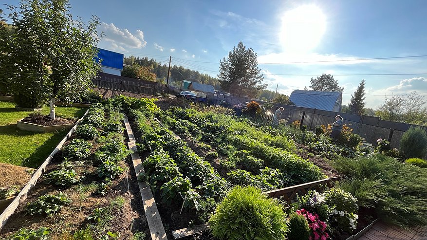 Главная картинка новости: Теперь понятно, почему в СССР дачи были именно по 6 соток. Советские ученые все рассчитали